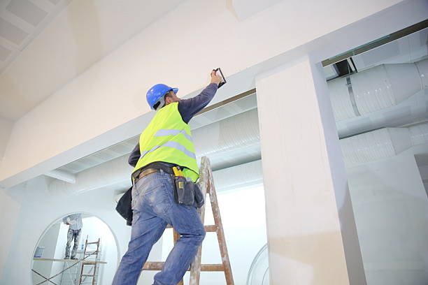 Best Real Estate Mold Inspection  in Barclay, NJ